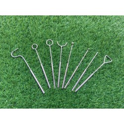 Set 8 Guía de Lengua