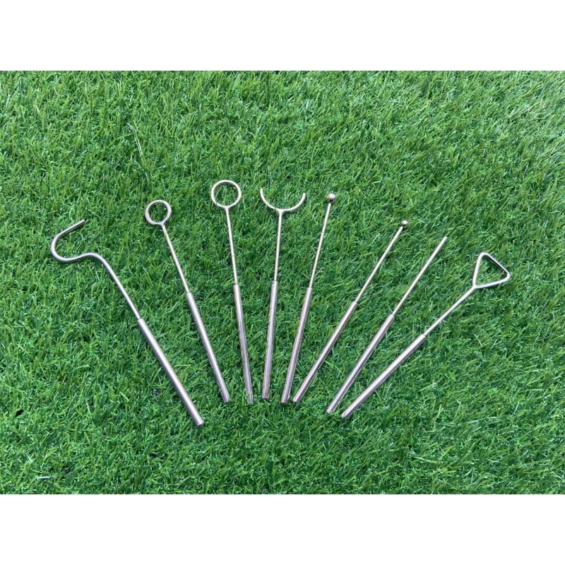 Set 8 Guía de Lengua